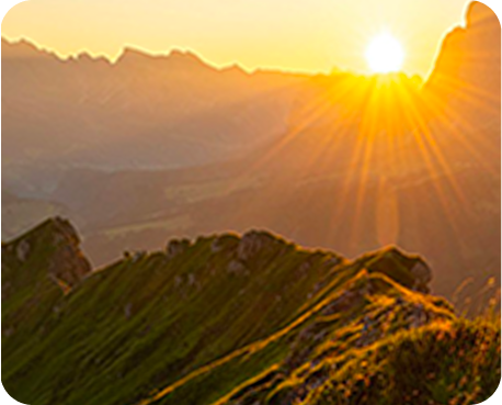 Consultation of Supervision-img1