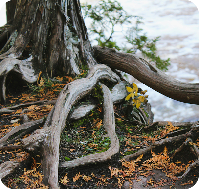 Therapy Immersions-img1